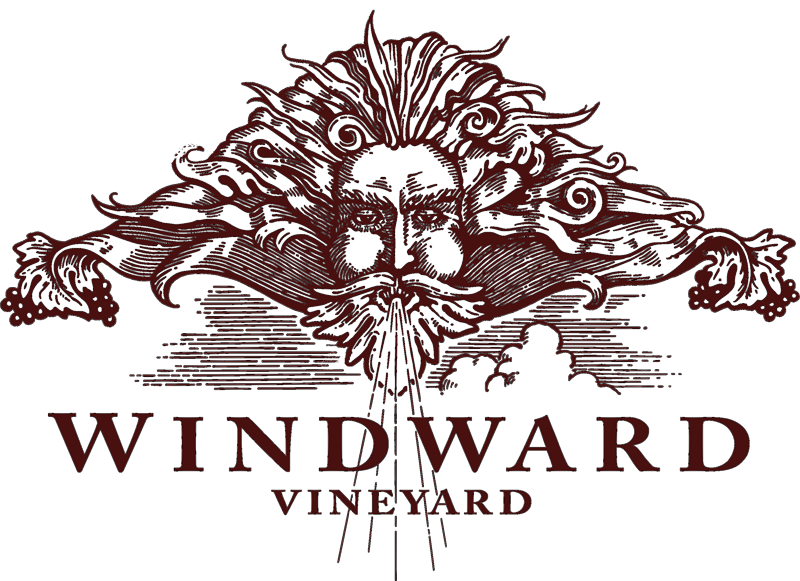 Windward Vineyard